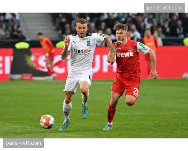 “足球进校园”计划扩展，德甲俱乐部与多州教育部达成合作